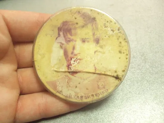 Купити знак футбол михайличенко №14578