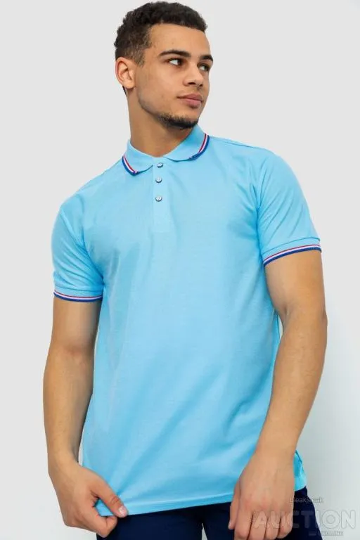 Поло мужское однотонное, цвет голубой, 243RA25 Ціна