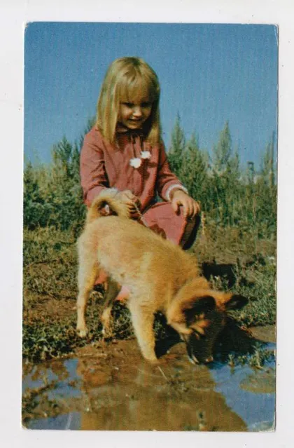 фото, ВЕРНЫЕ ДРУЗЬЯ = ДІВЧИНКА з СОБАКОЮ = 1969 р. = ЕЛИСЕЕВА = чиста ==