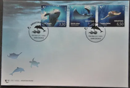 фото, КПД Хорватия Морская Фауна Черепаха Дельфин 2021