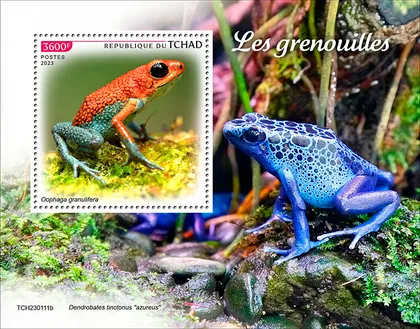 фото, Чад-Лягушки-2023.Чистый полный красивый комплект.MNH.