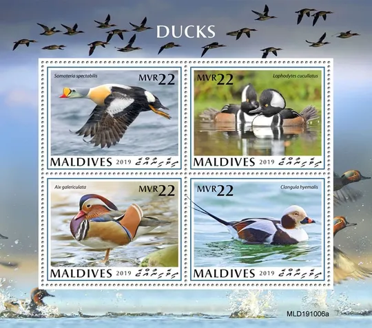 Купити Мальдивы - Утки -2019.Чистый полный красивый комплект. MNH.