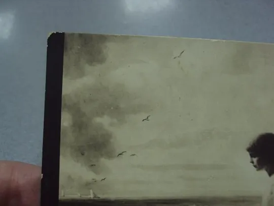 открытка лимпольс чайки, москва киев 1910 №1410 Продаж