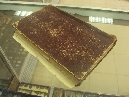 книга эмиль золя разгром спб 1892 №31 Характеристики