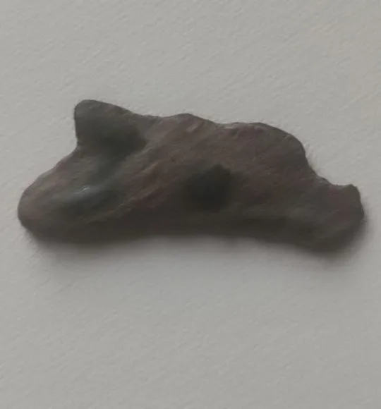 Купити Подлинная Древняя монета Дельфин Ольвия 4-5в до н.э.  kf862.