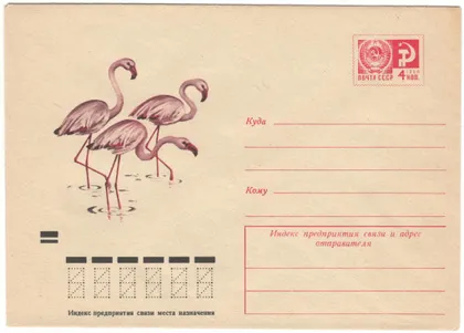 фото, Фламинго. ХМК. 1973 рік. СРСР