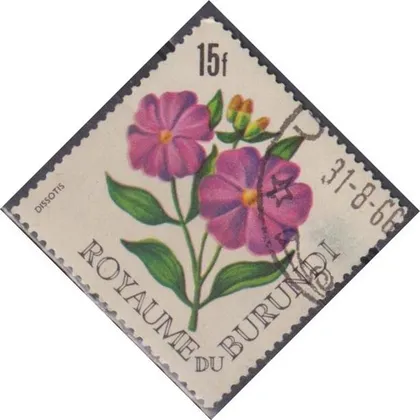 фото, Бурунді 1966 флора квіти