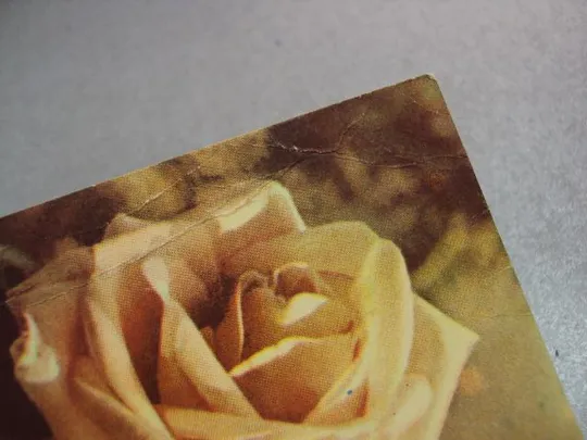 открытка розы федорова 1958 №12472 Інтернет-аукціон