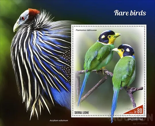 Сьерра Леоне -Птицы - 2022. Чистый полный красивый комплект-MNH.. Ціна