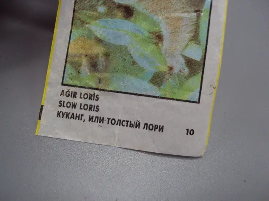 Вкладыши от жвачки CinCin slow loris Animals Cin Cin Turkye фантики Турция куканг лори 2 шт №17901мя Недорого