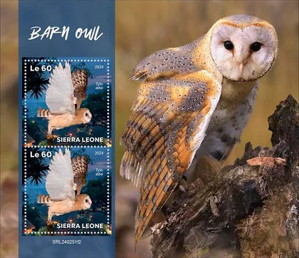 фото, Сьерра Леоне-Сова Амбар-2024. Чистый полный красивый комплект. MNH.