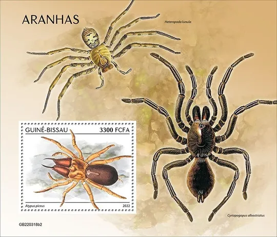 Купити Гвинея Бисау-Пауки-2022. Чистый полный красивый комплект. MNH.
