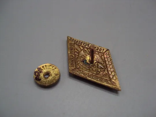 знак ромб 10 лет государственная лесная охрана ссср №15736 в Україні
