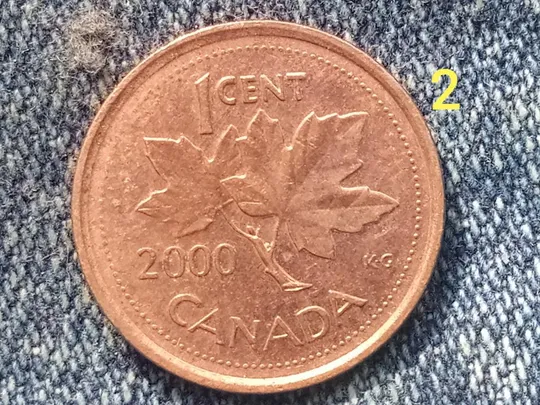Канада, 1 цент (2000 г.) Флора. Растения. Кленовый лист. Ціна