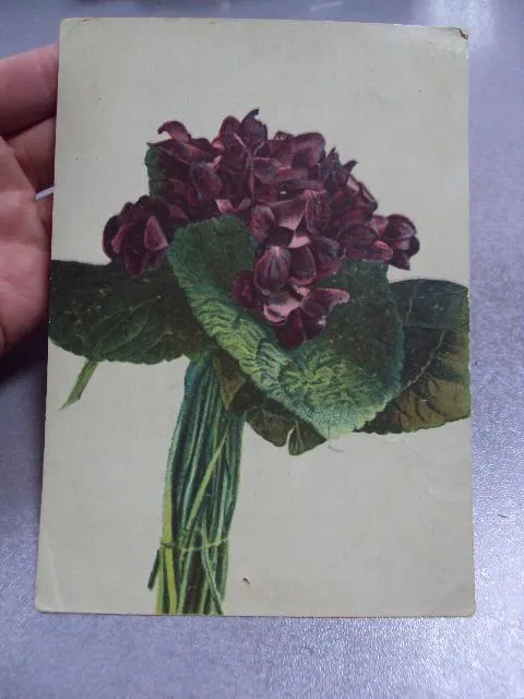 Купити открытка фиалки 1932 озет №235 тир. 12 т. №10969