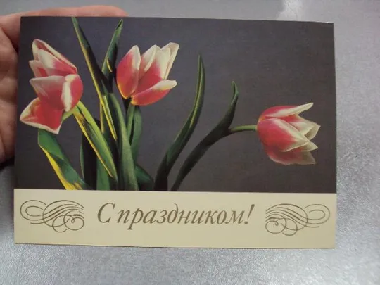 Купити открытка с праздником 1985 савалова №10998