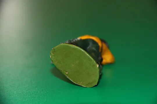 ковбой ГДР № 010 НАТТІ БАМПО Lisanto Продаж