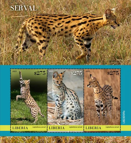фото, Либерия-Дикие Кошки-Сервалы-2023.Чистый полный красивый комплект.MNH.