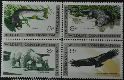 фото, США Фауна 1971
