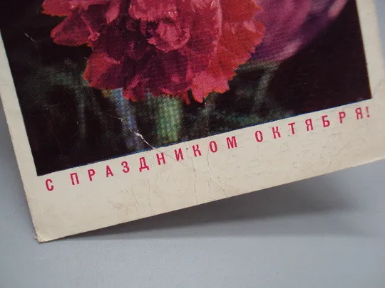 Открытка С праздником октября! цветы гвоздики фото Г. Костенко 1973 год №16082 Інтернет-аукціон