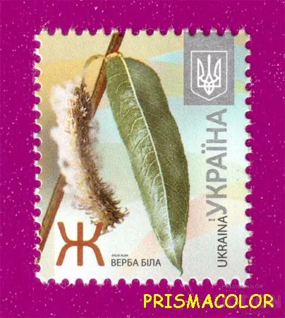 ** УКРАИНА 2012 N1215 марка 8-ой Стандарт Ж Верба Флора Ціна