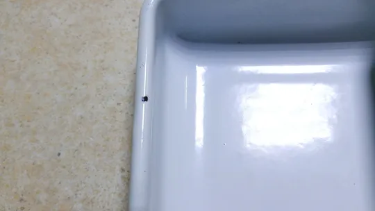 Лоток контейнер емалірований дитячий посуд Їжачки старий радянський Вживане #2 Продаж