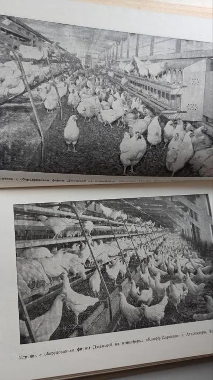 Книга 1965 года об организации производства бройлеров в США, gs563 Характеристики