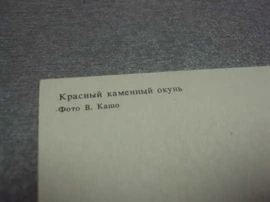 Купити открытка окунь 1988 кашо №313