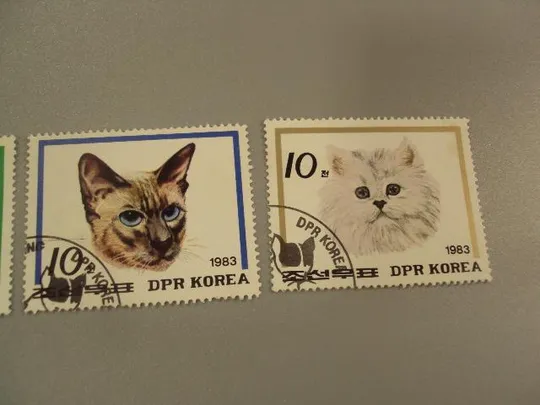 марки серия Северная Корея КНДР 1983 кошки коты котики лот 3 шт гаш №1570 Продаж
