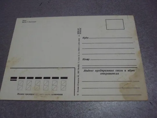 Купити открытка розы 1981 костенко №192