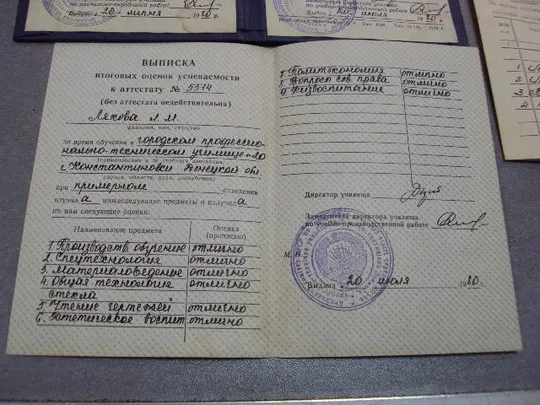 документ выписка аттестат с отличием константиновка гпму №20 1980 №4382 Недорого