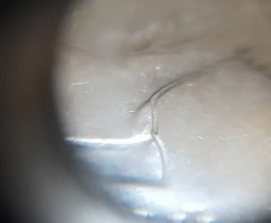 (6841) 2 гривні 2018 напливи лишнього металу навкруги елементів зображення на реверсі Де купити