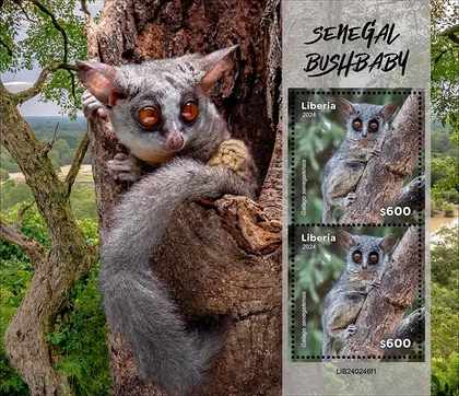 фото, Либерия-Сенегальский Олень -2024. Чистый полный красивый комплект. MNH.