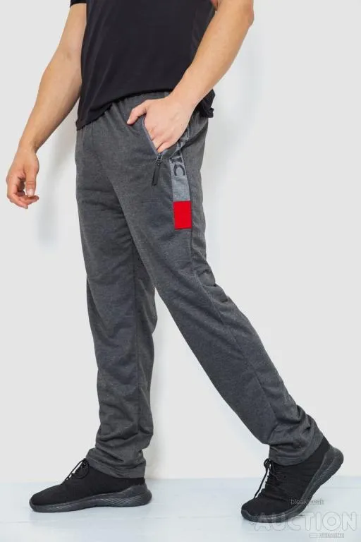 Спорт штаны мужские, цвет темно-серый, 244R41125 З аукціону