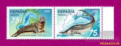 фото, ** УКРАИНА 2002 N471-472 сцепка Фауна Укр-Казахстан (тюлень-белуга)