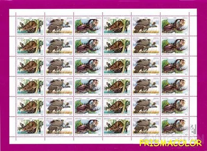 фото, ** УКРАИНА 1999 лист Хохуля-жук