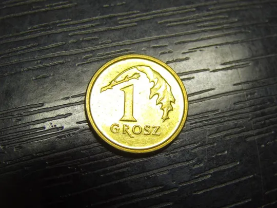 Купити 1 грош 2014 Польща (новий тип) магніт