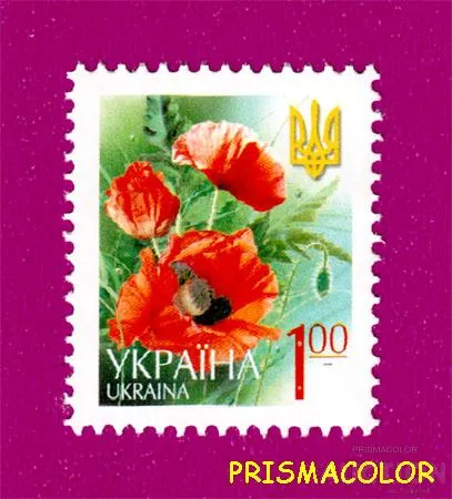 фото, ** УКРАИНА 2005 N634 марка 6-ой Стандарт Цветы 1-00