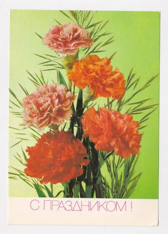 ПРОВІЗОРІЇ - 35 коп. на листівці С ПРАЗДНИКОМ = ДМПК 1991 р. = ДЕРГИЛЕВ = чиста  {} Ціна