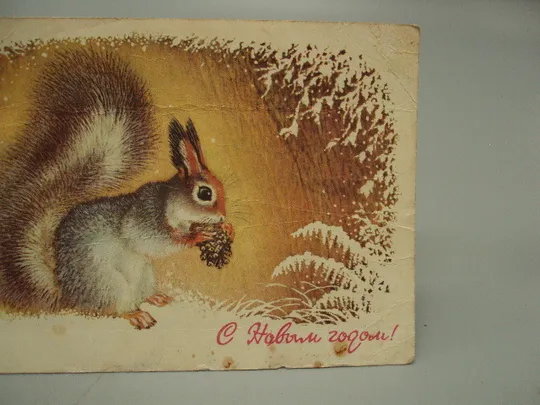 Купити Открытка С Новым годом! белка сшишкой белочка и шишка художник А. Исаков 1977 год №16294