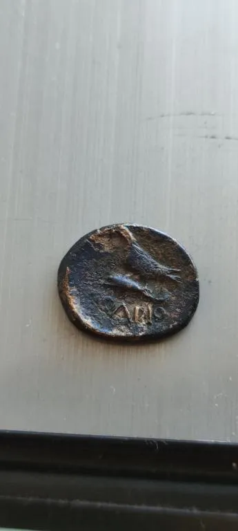 Купити Античная монета Ольвия  Орёл на дельфине 300 лет до н.э.  pvm624