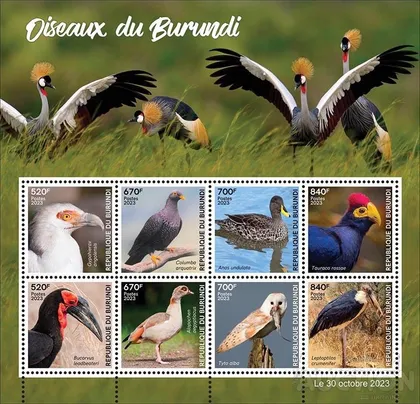 фото, Бурунди - Птицы - Носороги -2023. Чистый полный красивый комплект. MNH.