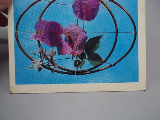 Открытка 8 марта цветы листочки художник О. Чиликин 1973 год №17892 З аукціону