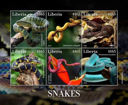 Купити Либерия-Змеи-2022 . Чистый полный красивый комплект. MNH.