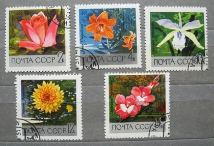 фото, ЦВЕТЫ БОТАНИЧЕСКОГО САДА = 1969 р. = гаш. &