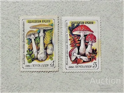 фото, Серія поштових марок СССР " Отруйні гриби " 1986 рік