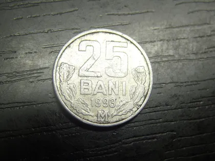 фото, 25 бані 1993 Молдова