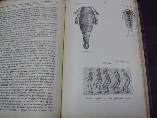 книга а.панов, происхождение мира и жизни на земле 1924 год №113 Продаж
