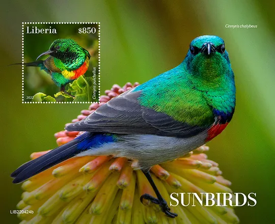Либерия-Птицы-Нектарницы 2022.Чистый полный красивый комплект-MNH Ціна