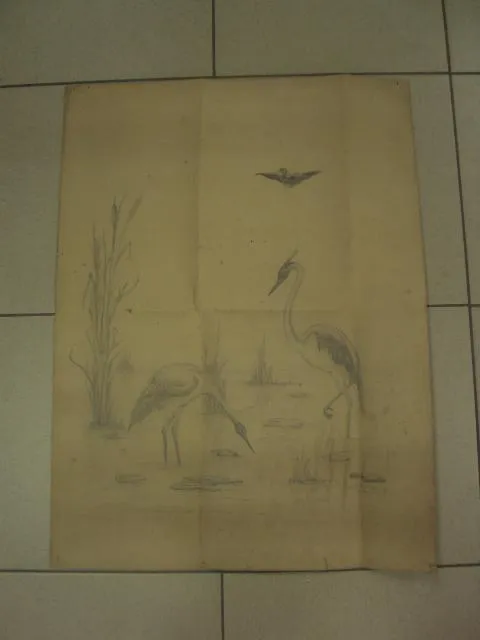 графика цапли картон карандаш  №8355 Ціна